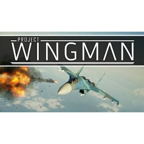 download project wingman steam
